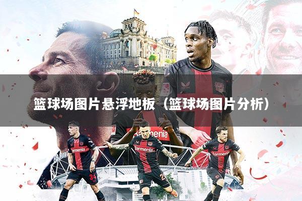 篮球场图片悬浮地板（篮球场图片分析）