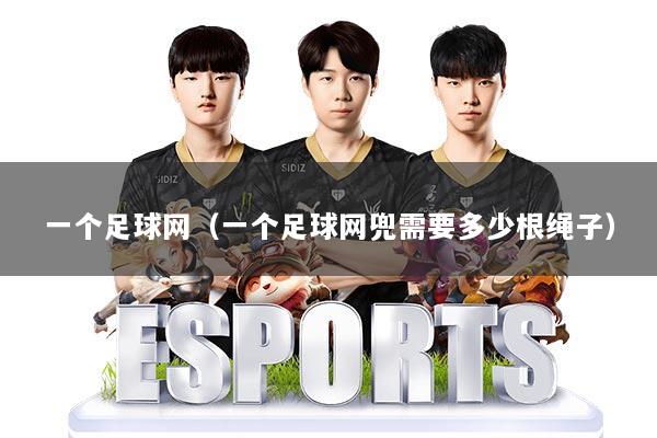 一个足球网（一个足球网兜需要多少根绳子）