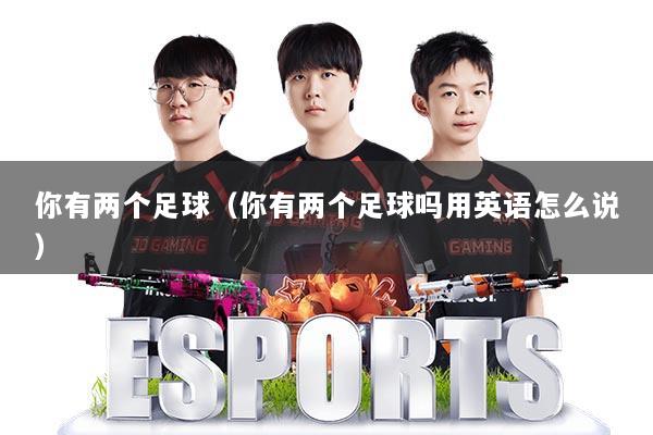 你有两个足球(你有两个足球吗用英语怎么说)