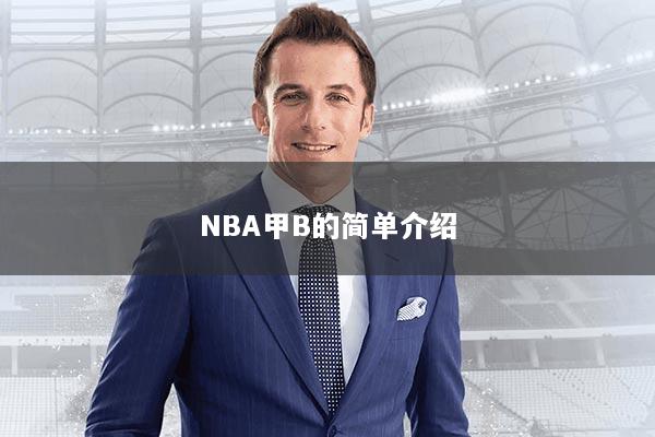 NBA甲B的简单介绍