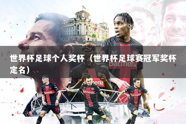 世界杯足球个人奖杯（世界杯足球赛冠军奖杯定名）