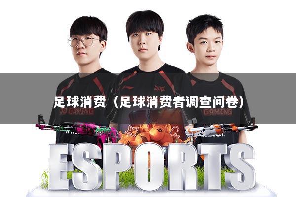 足球消费（足球消费者调查问卷）