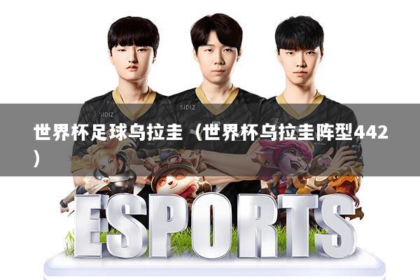 世界杯足球乌拉圭（世界杯乌拉圭阵型442）