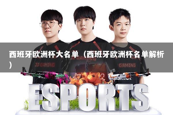 西班牙欧洲杯大名单（西班牙欧洲杯名单解析）