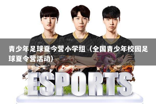 青少年足球夏今营小学组（全国青少年校园足球夏令营活动）