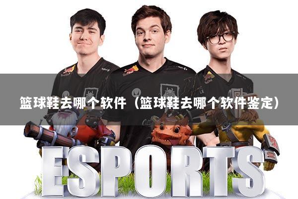 篮球鞋去哪个软件（篮球鞋去哪个软件鉴定）