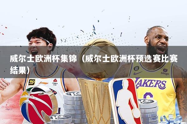 威尔士欧洲杯集锦（威尔士欧洲杯预选赛比赛结果）