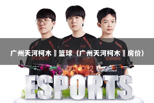 详细阅读:广州天河柯木塱篮球(广州天河柯木塱房价) 广州天河柯木塱篮球(广州天河柯木塱房价)