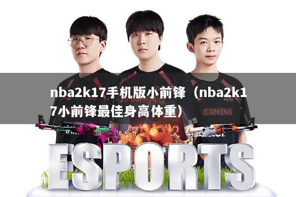 nba2k17手机版小前锋（nba2k17小前锋最佳身高体重）